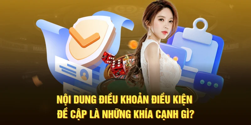 Nội dung điều khoản điều kiện đề cập là những khía cạnh gì?