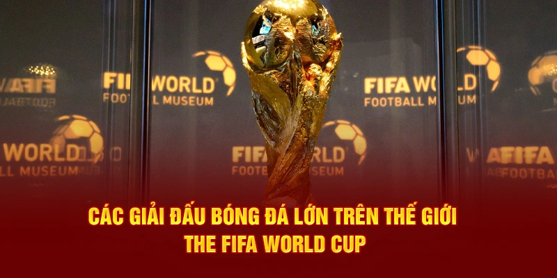 Các giải đấu bóng đá lớn trên thế giới The FIFA World Cup