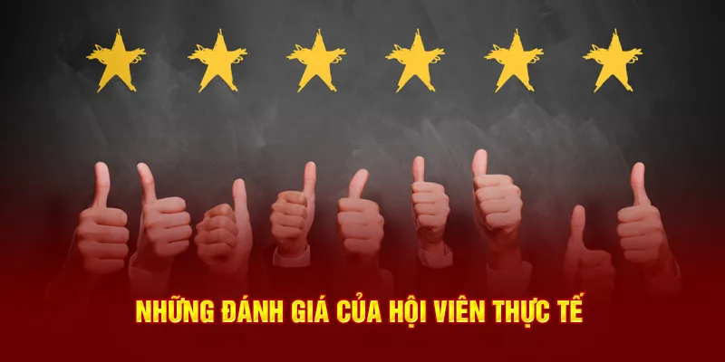 Những đánh giá của hội viên thực tế